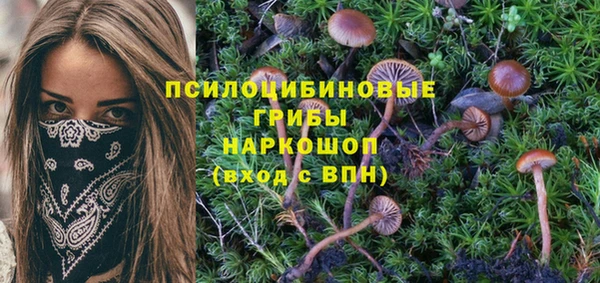 марки nbome Аркадак